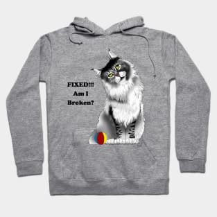 Fixed Kitty Hoodie